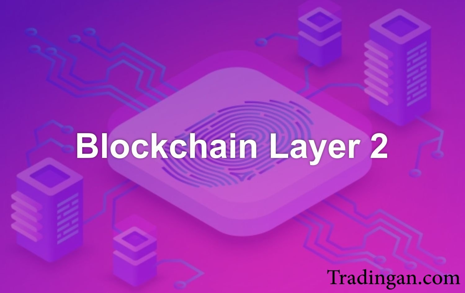 Analisis Fundamental Layer-2 Blockchain: Efisiensi Gas Fee & Adopsi ...
